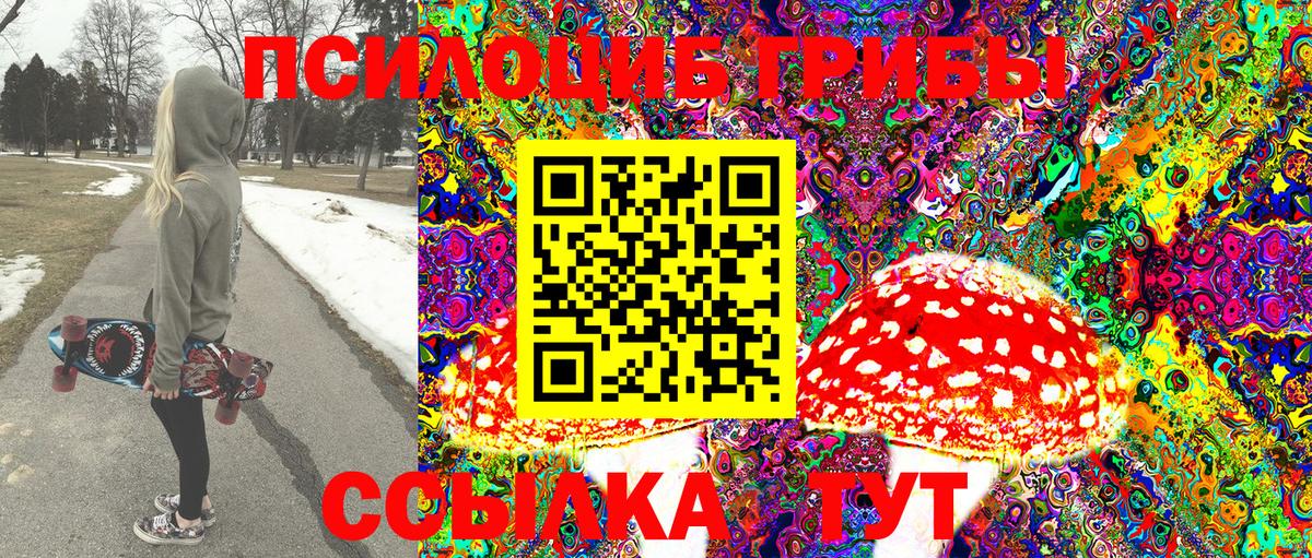 Псилоцибиновые грибы GOLDEN TEACHER Томск